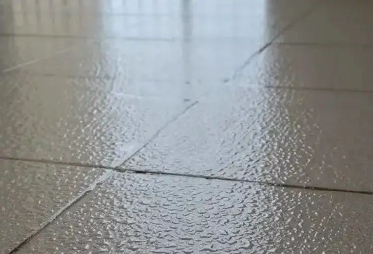 1680623752216167.jpg QQ图片20230404233637.jpg